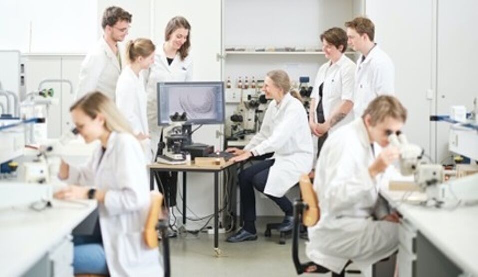 Students in a laboratory