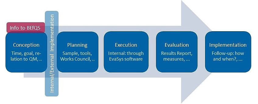 Overview model for the relevant phases of a survey and aspects to be clarified.